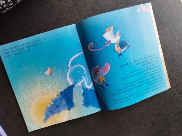 Livre - photo numéro 4