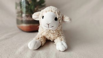 Doudou