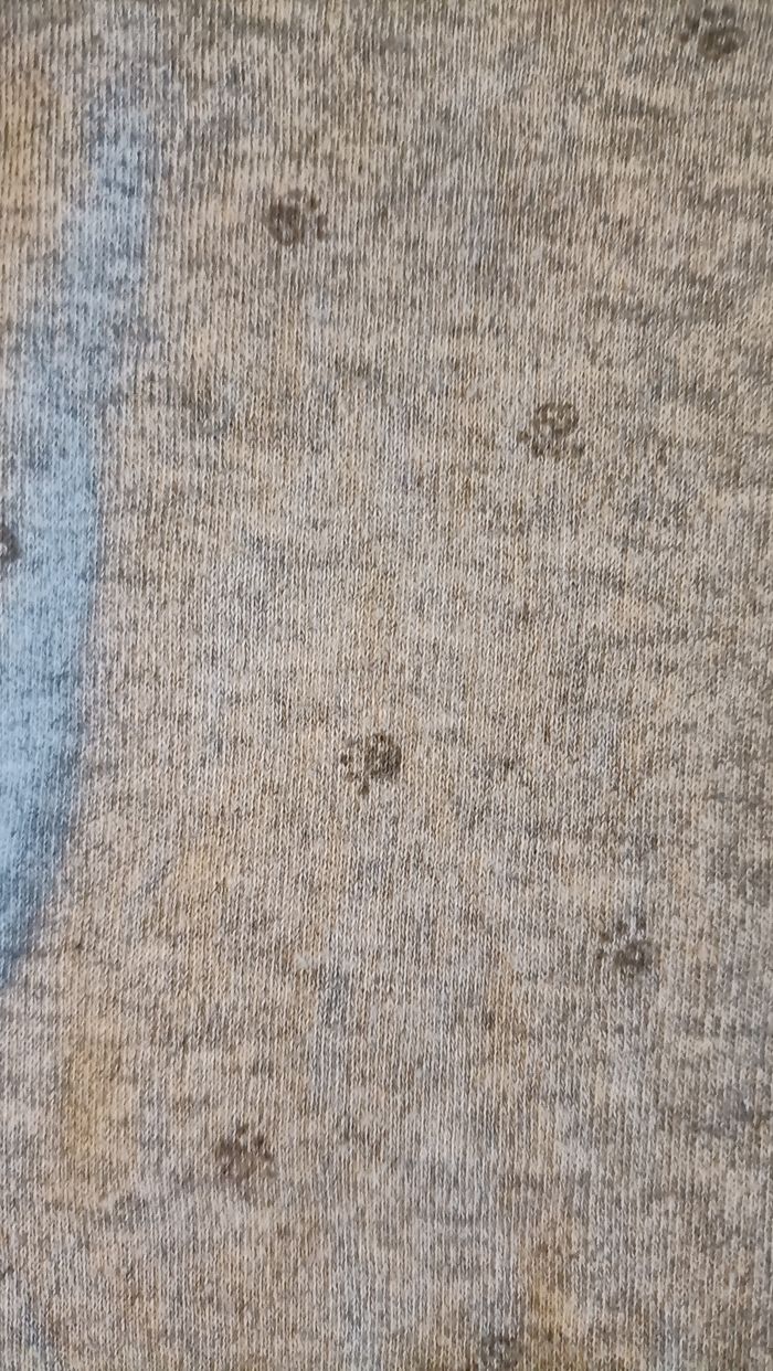 Ensemble tout doux 1 mois - photo numéro 5