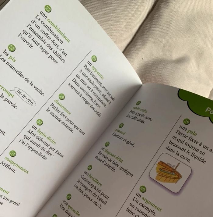 Ratus et sa classe en voyage - photo numéro 6