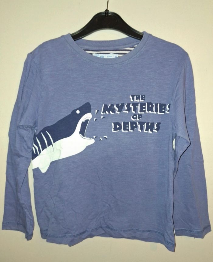 Pulls et tee shirt manche longue - photo numéro 5