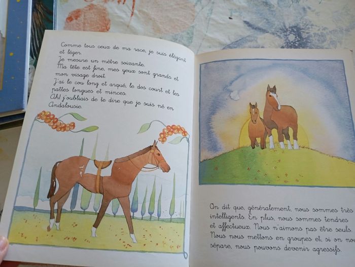 Livre Archibal le cheval édition du tournesol - photo numéro 2