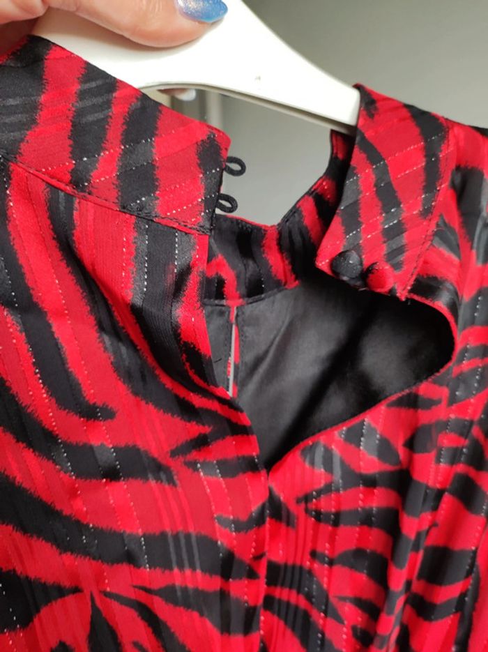 Robe rouge zébrée - photo numéro 3