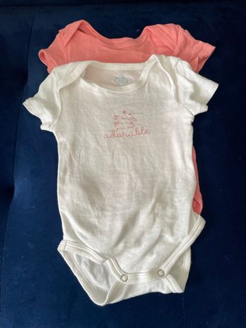 Lot 2 bodies