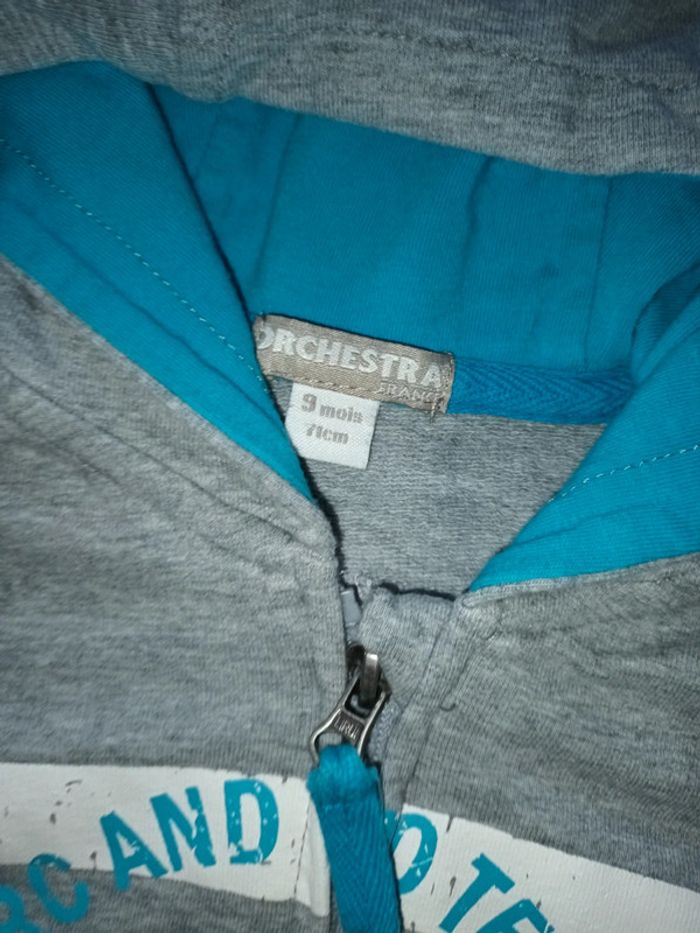 Gilet zippé a capuche 9mois - photo numéro 4