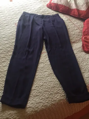 Pantalon à pinces bleu