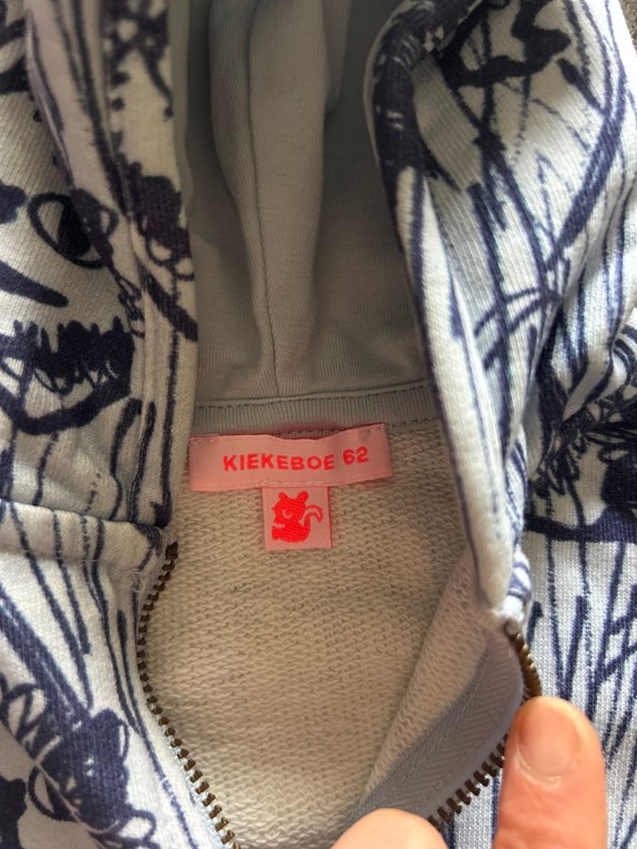 Veste à capuche zippé bebe taille 3 mois - photo numéro 2