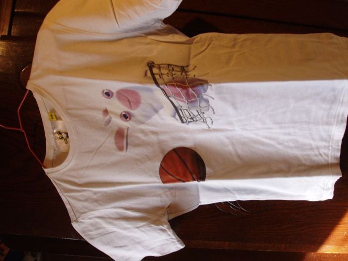 t shirt lapins cretins