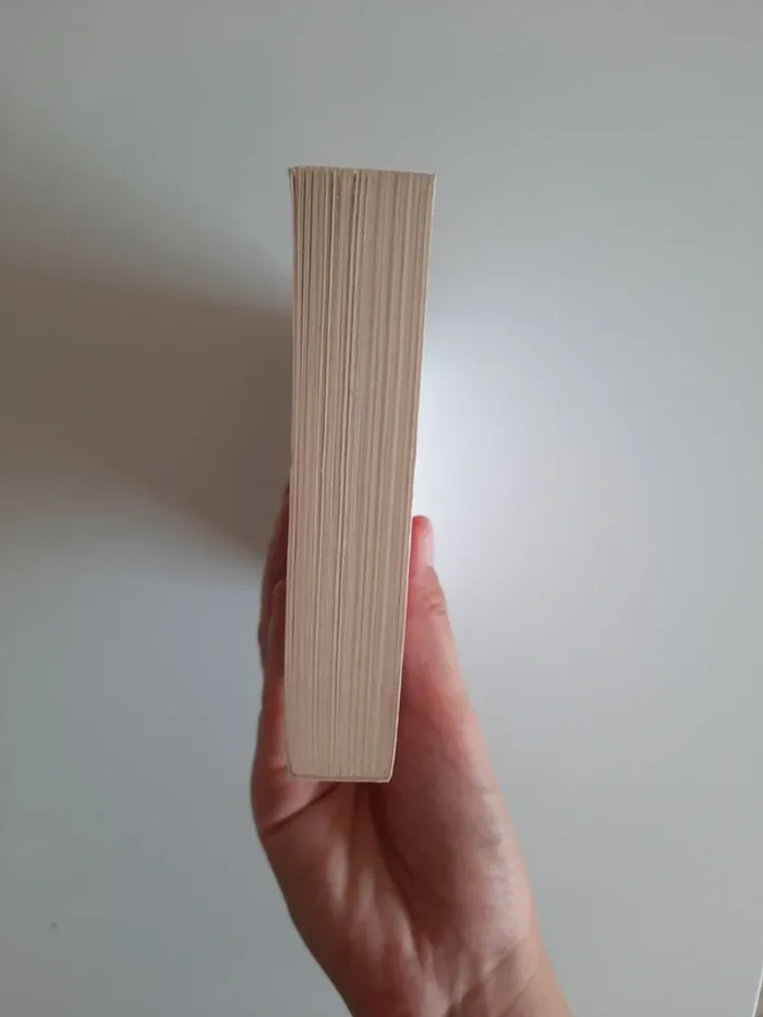 livre absolument débordée - photo numéro 4