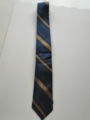 cravate bleu et beige 100 % soir Made in Thailand