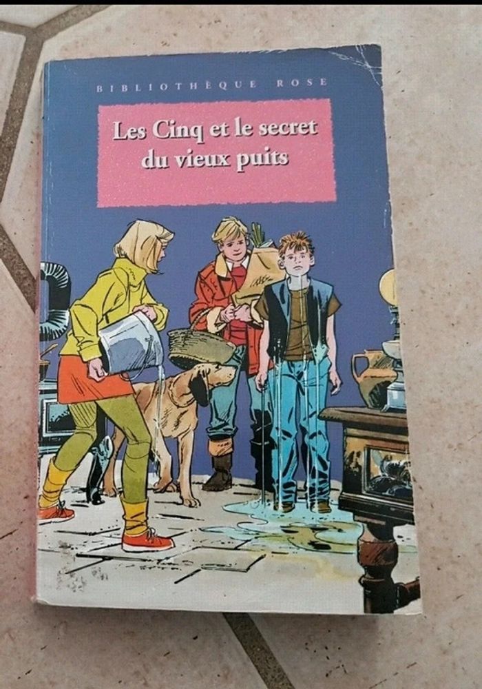 Livre le club des 5