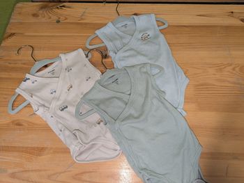 Lot 3 bodies 12 mois