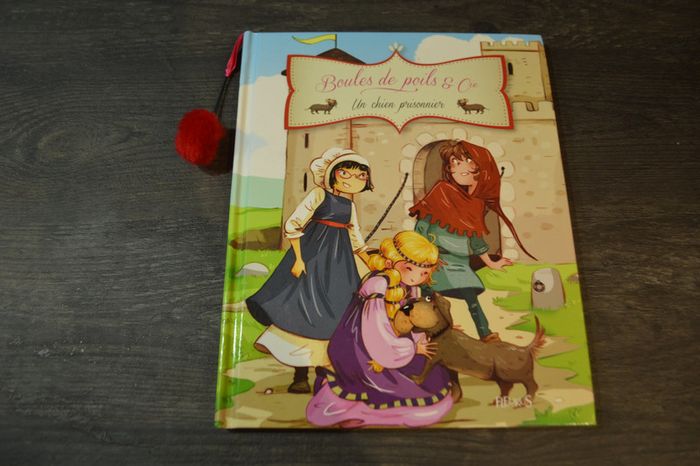 Livre Boules de poils & Cie Un chien prisonnier Fleurus