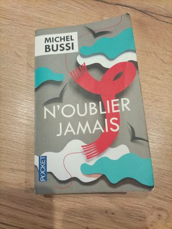 N'oubliez jamais Michel BUSSI