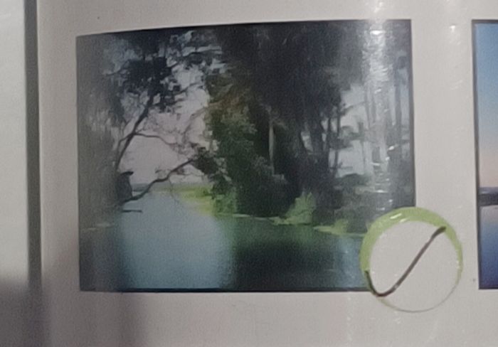 Décoration murale à tapisser - photo numéro 3