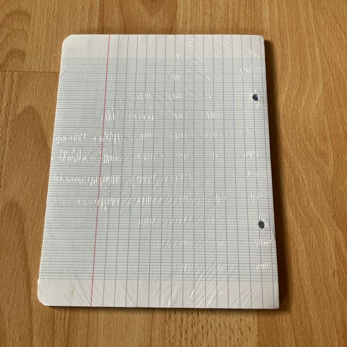 Feuilles simples grands carreaux - photo numéro 2