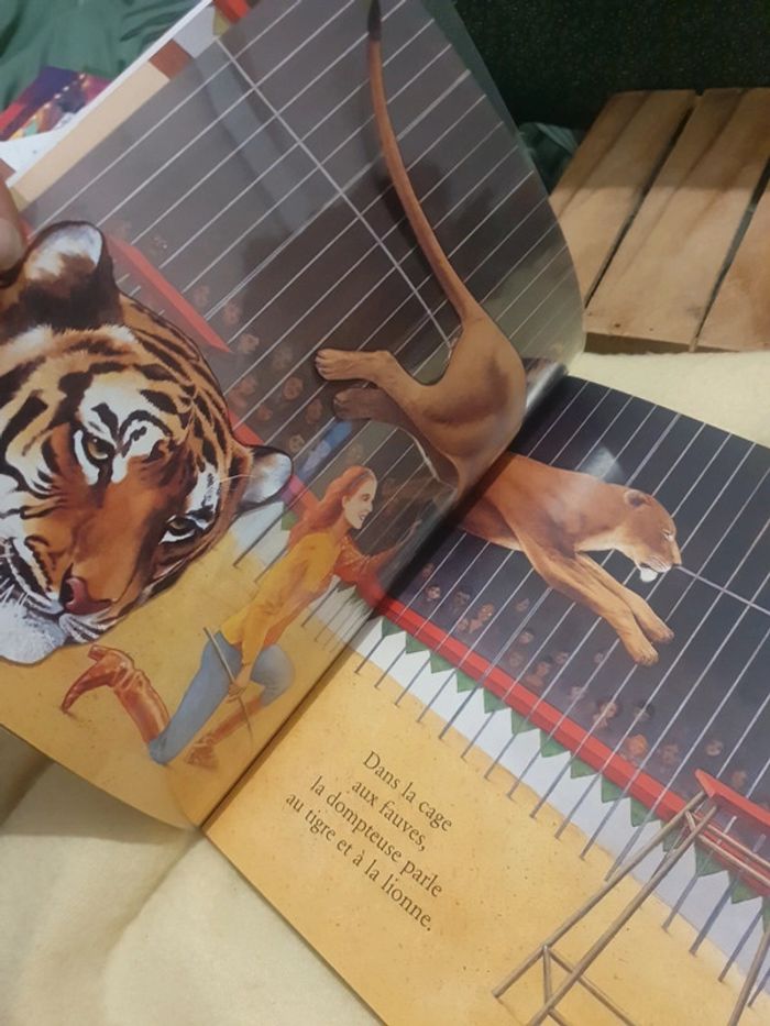 Livre magique - photo numéro 3