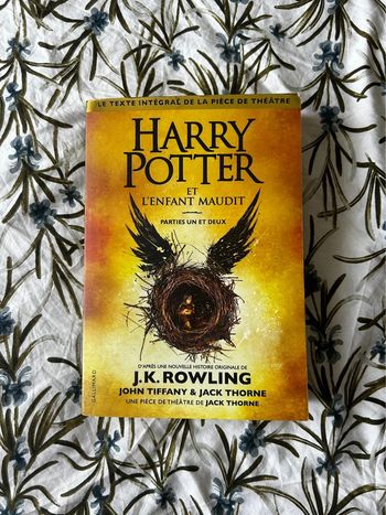 Harry Potter et l’enfant maudit
