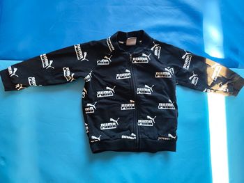 Veste puma 12 mois