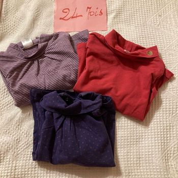 Lot sous pulls en 24 mois