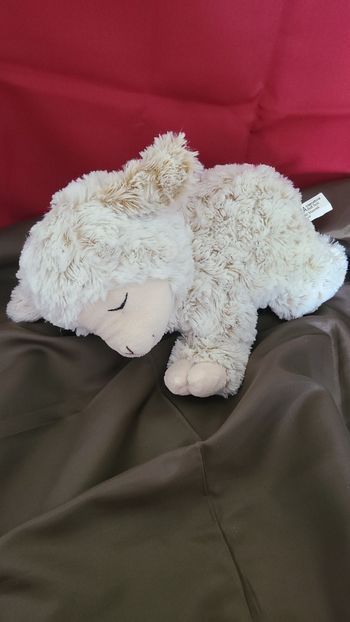 Mouton couché dormant PIA