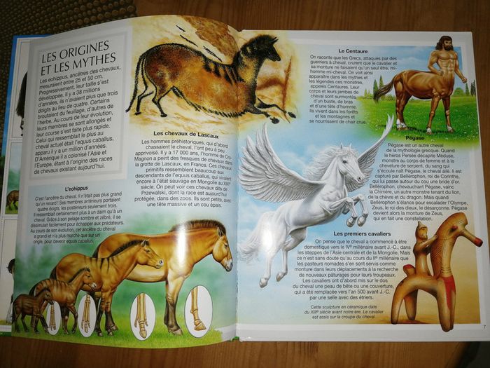 Livre sur les chevaux - photo numéro 3