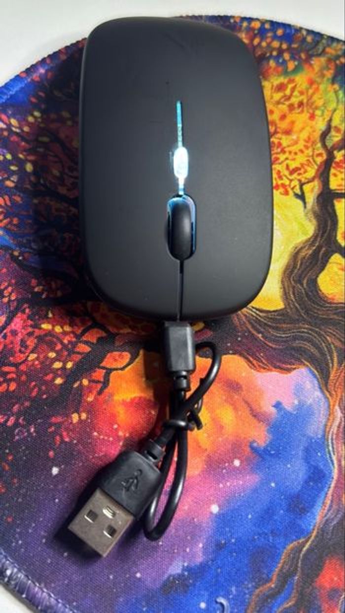 Souris BalanceFit totalement neuf, jamais utilisée. - photo numéro 3