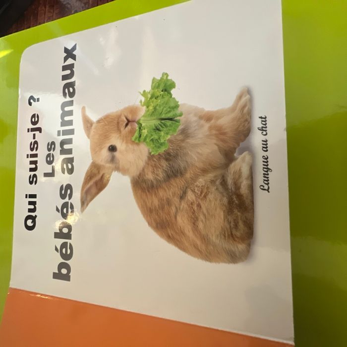 Livre bébé animaux - photo numéro 2