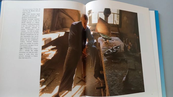 Fou de Bassin d'Arcachon - photo numéro 10