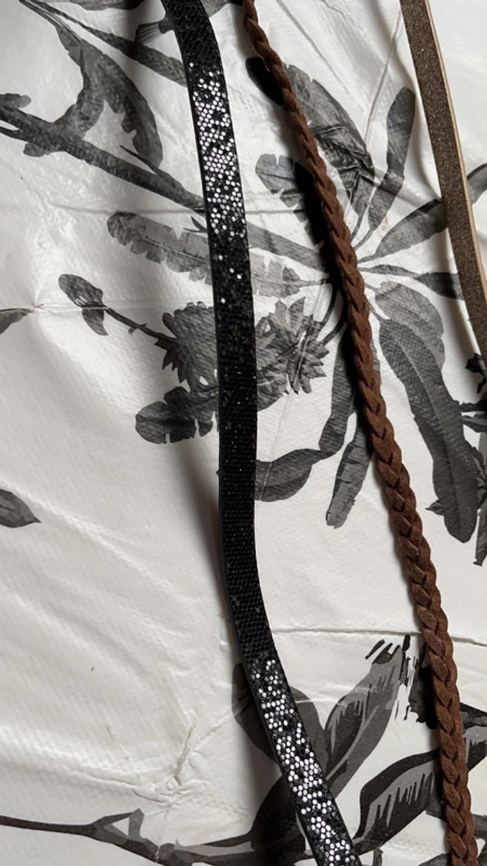 Ceintures - photo numéro 2