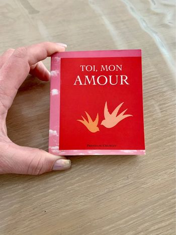 Toi, mon amour livre de citations d’amour