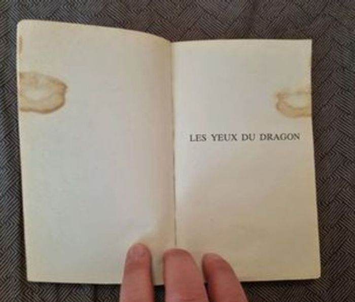 Les yeux du dragon - photo numéro 4