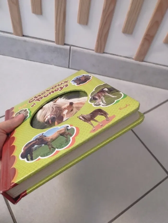 Livre les chevaux et poneys cartonné - photo numéro 2