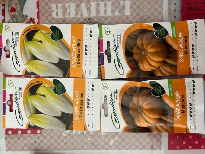 Gros lot de graines et semis légumes / salades - photo numéro 4