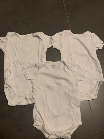 Lot de 3 bodys manches courtes été