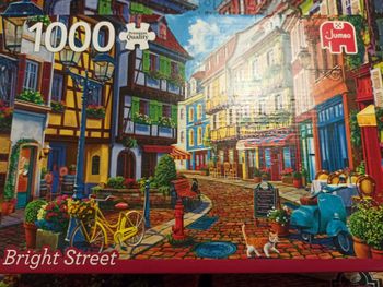 Puzzle complet 1000 pièces 