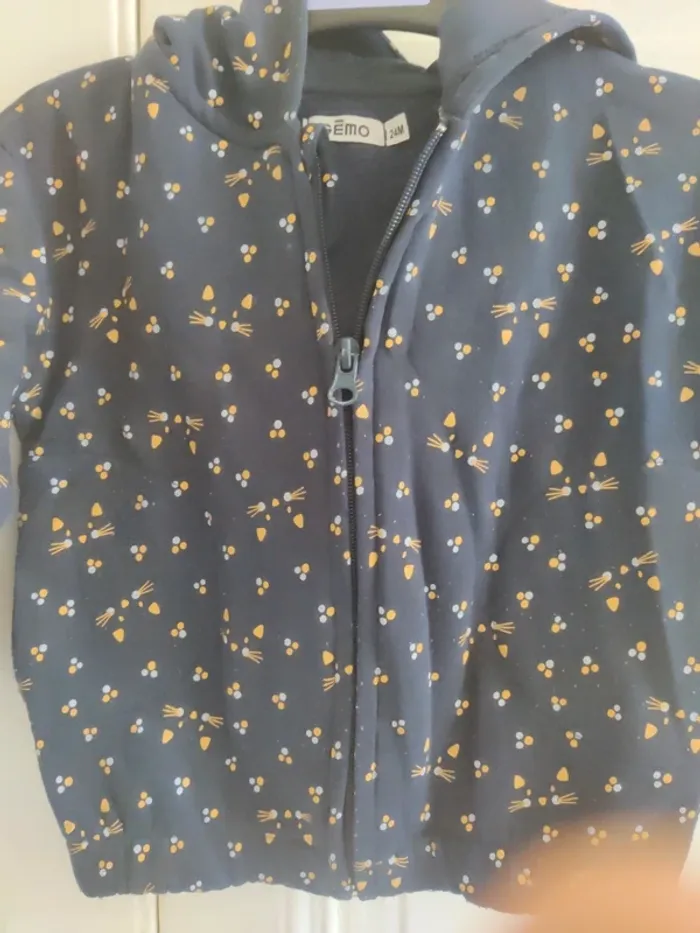 Veste capuche Gémo 24 mois - photo numéro 2