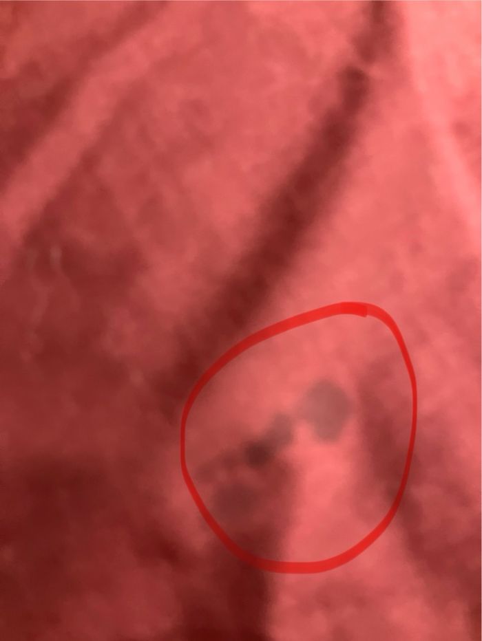 Lot de 2 duvets-Quechua-Taille L - photo numéro 9