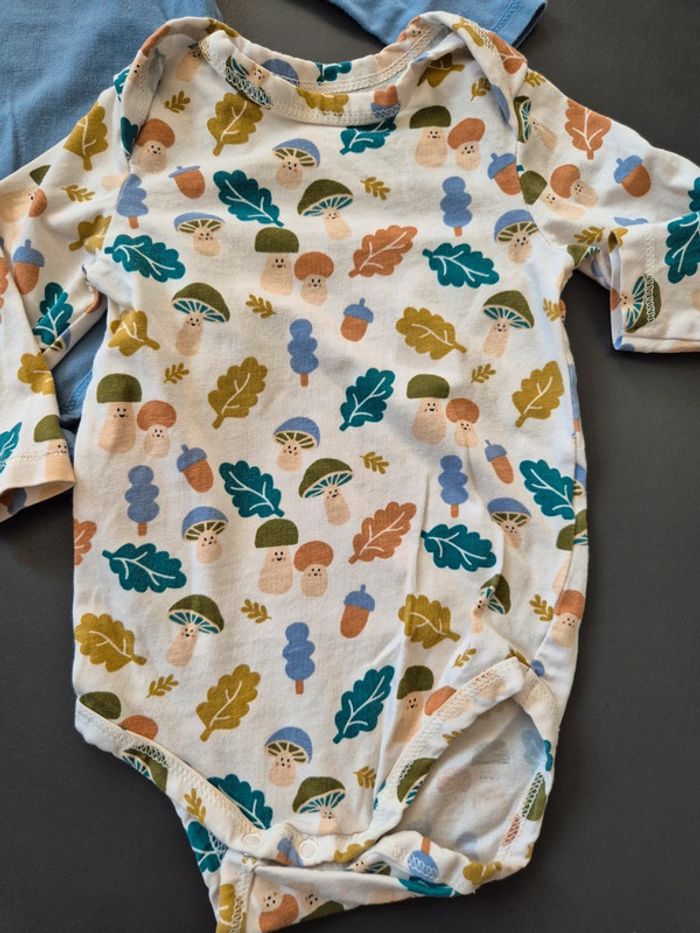 Bodys 6mois - photo numéro 2