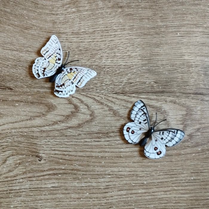 💖 Lot de 2 aimants papillon 🦋 #emyfleury_décoration