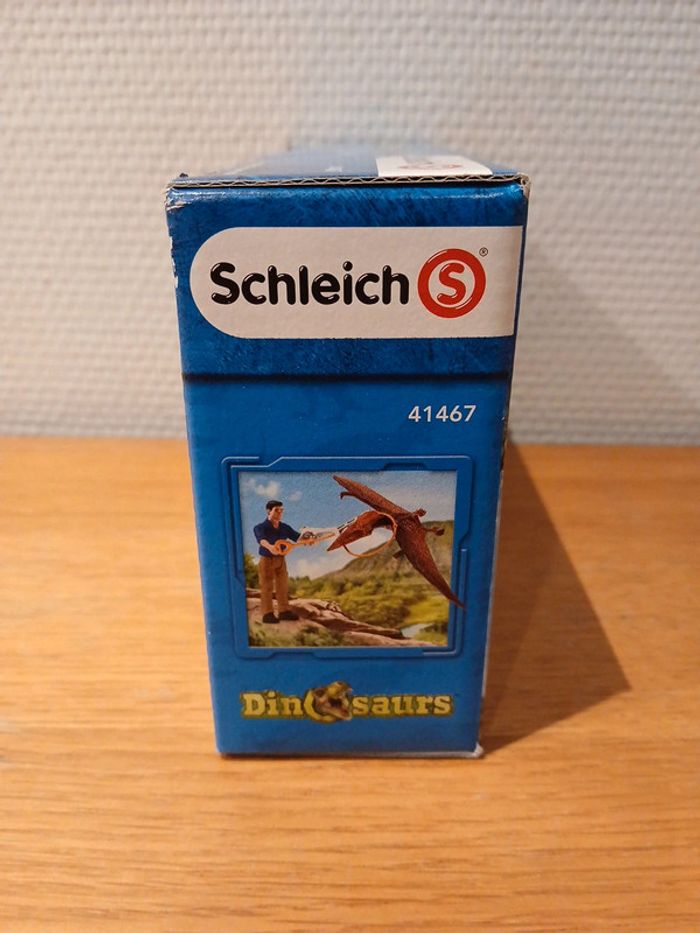 Poursuite d'un dinosaures en jetpack - photo numéro 2