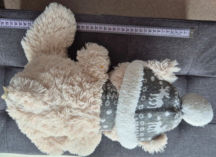 Ourson - photo numéro 4