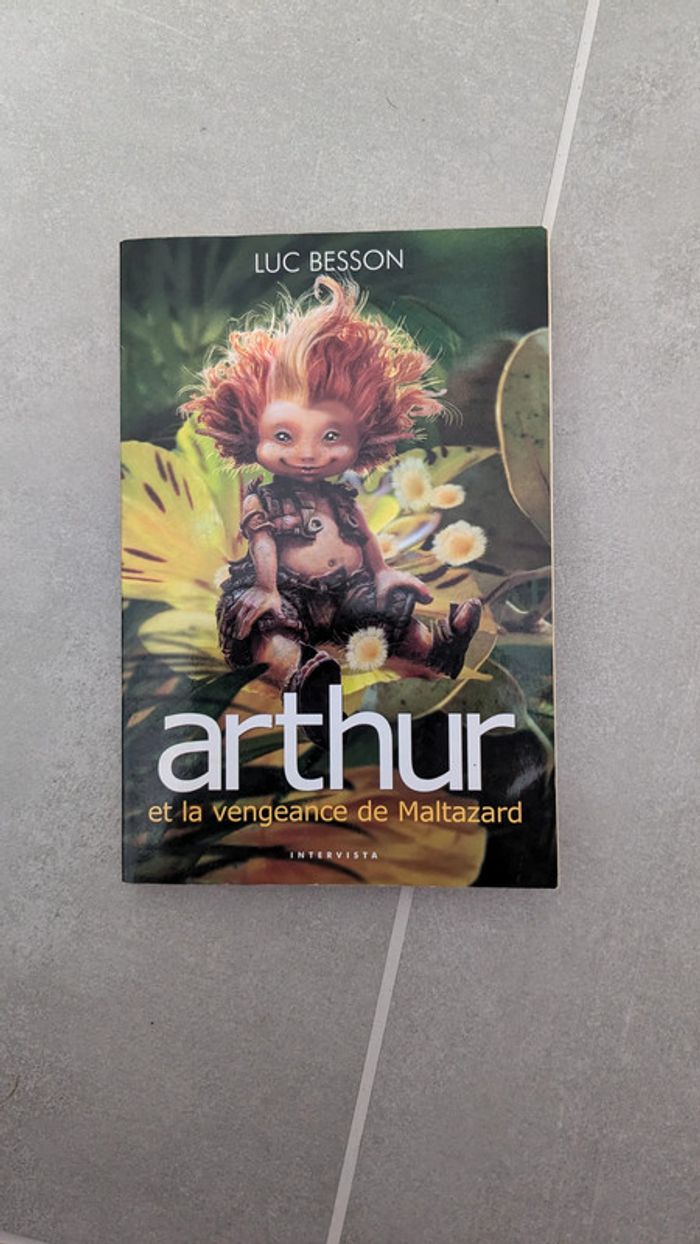 Livre Arthur et la vengeance de Maltazard