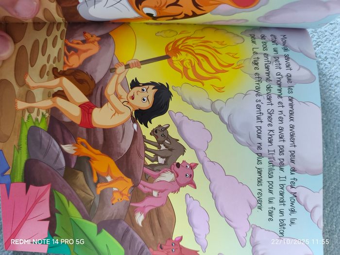 Le livre de la jungle - photo numéro 3