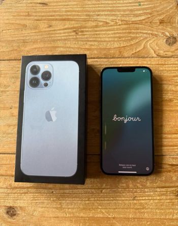 iPhone 13 pro max