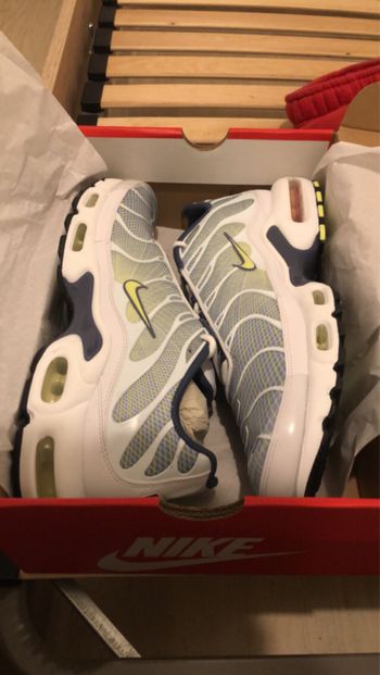 Nike air max plus