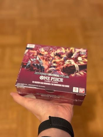 Display OP-11 « Des Poings Vifs comme l’éclair » Français 