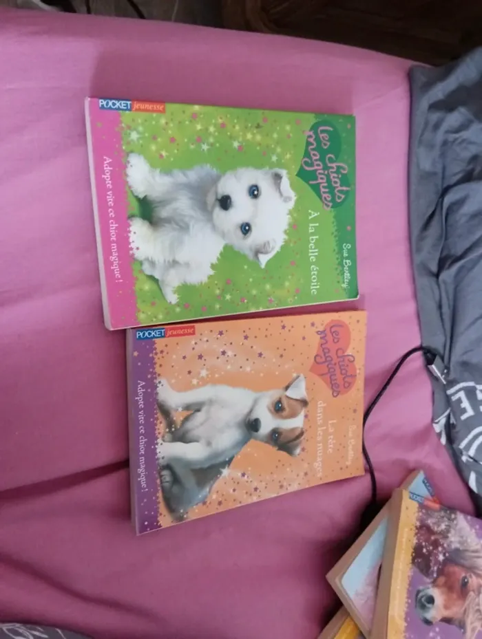 Lot de deux livres "les chiots magiques"