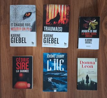 Lot 6 Thrillers récents 