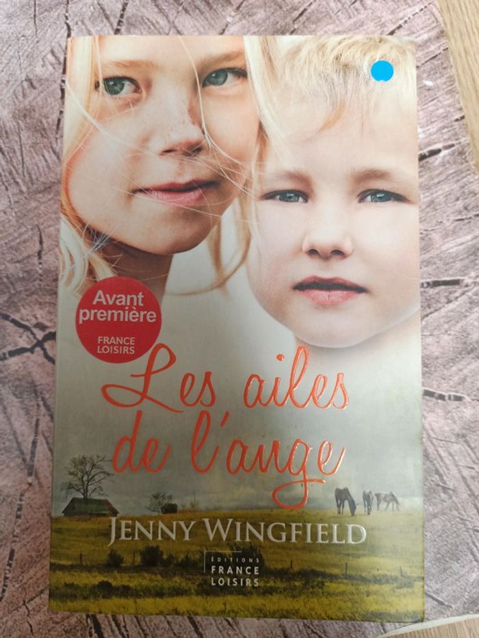Livre les ailes de l ange